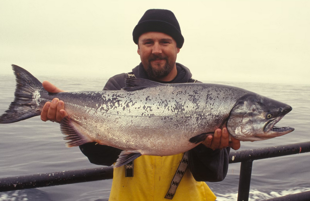 Guide to California's Top Fishing Destinations