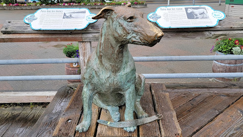 Patsy the Dog Statue in Juneau AK