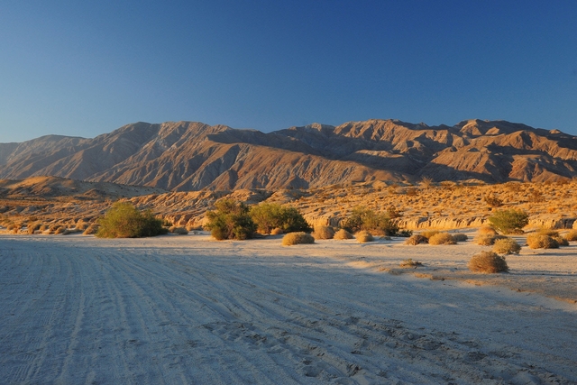 Borrego Springs: A Desert Oasis with a Rich Past